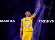 九游体育APP下载-逆转之夜，当德国战车碾碎太极虎，李梓嘉点燃了整座赛场