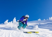 九游体育直播-从灰熊强势到哈利伯顿时代，2026世界杯的接管预演