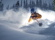 九游VIP-诺里斯点燃赛场，索伯轻取哈斯背后的战略革命