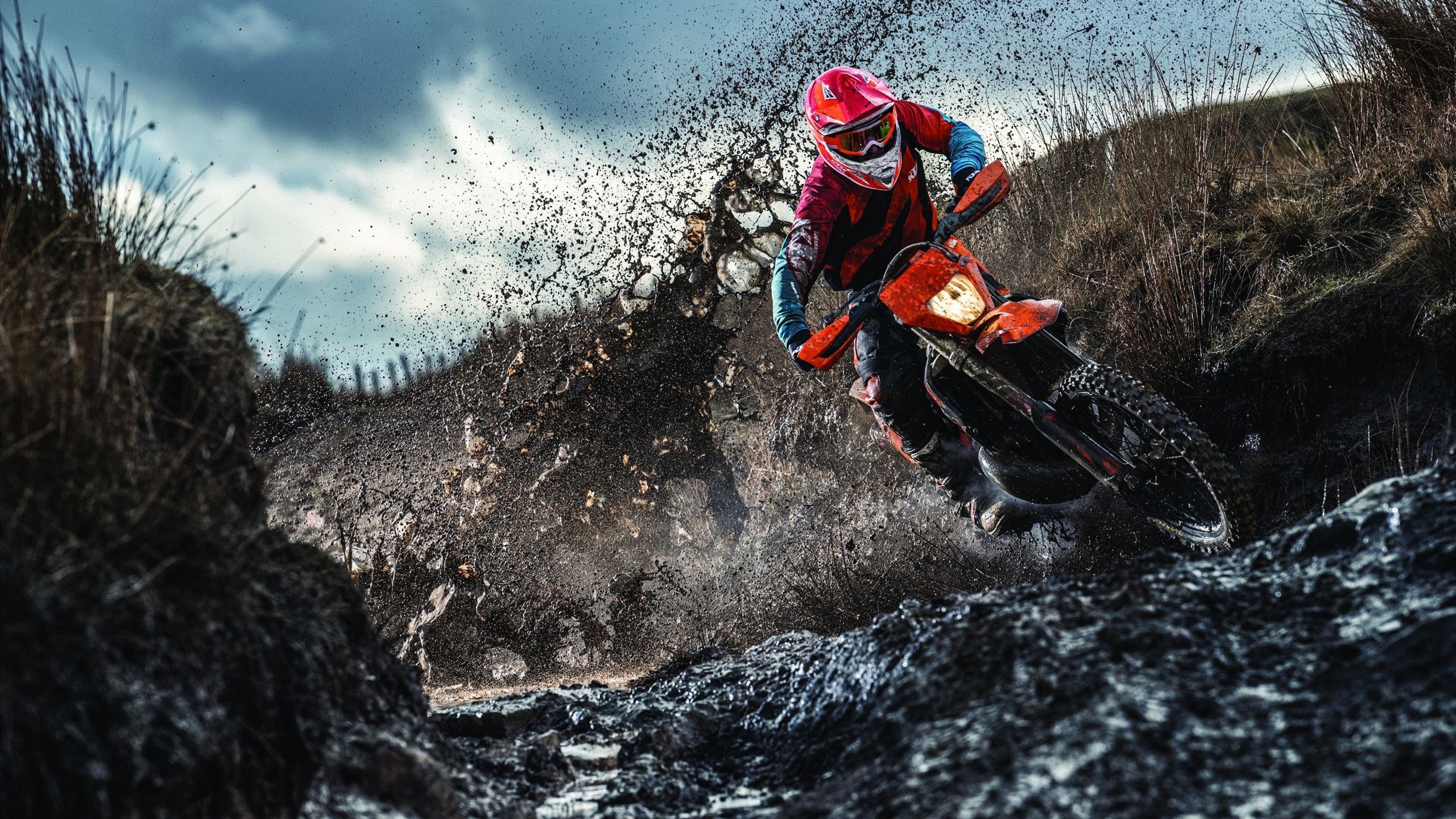 字母哥关键回合不手软，步行者翻盘国王