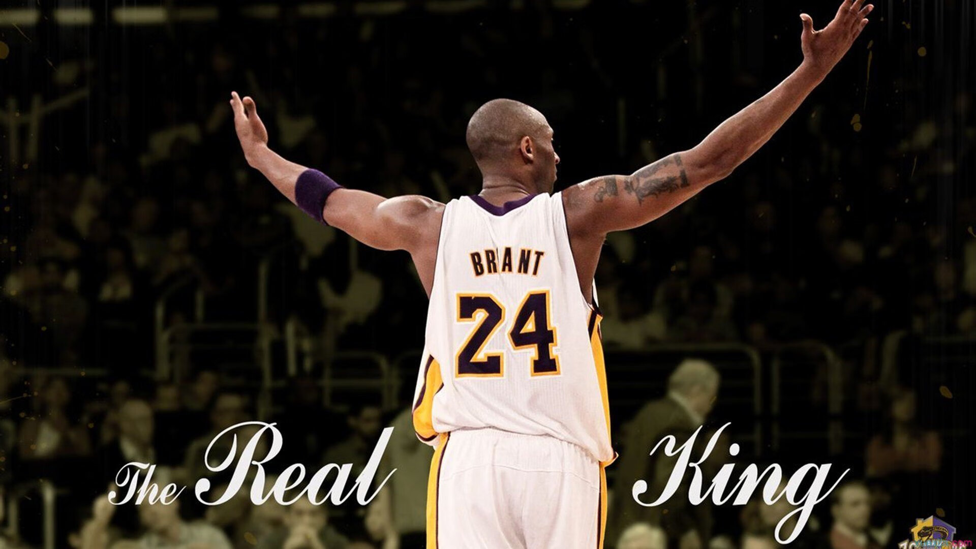 跨越东西方的赛场主宰,北京队掀翻快船,约基奇在欧冠半决赛接管比赛